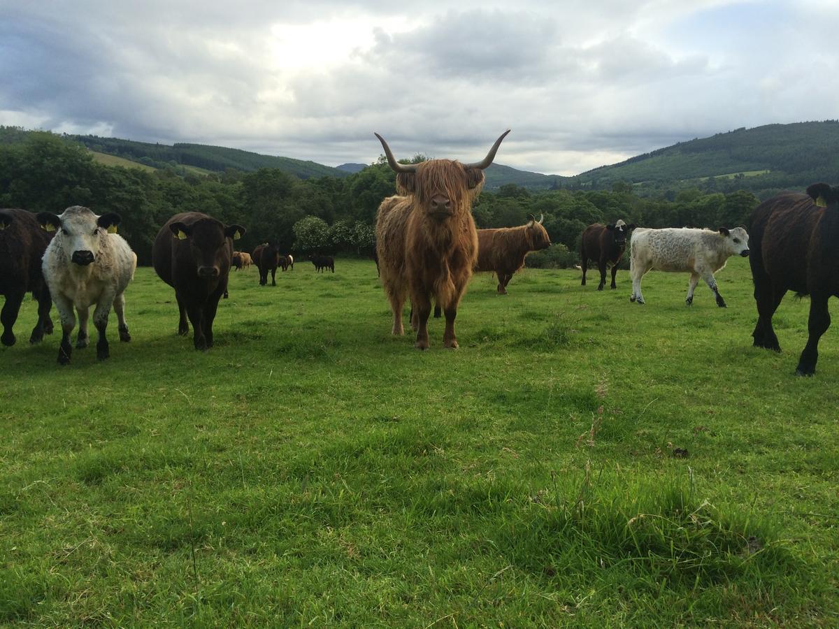 Drumbuie Farm B&B Drumnadrochit Buitenkant foto